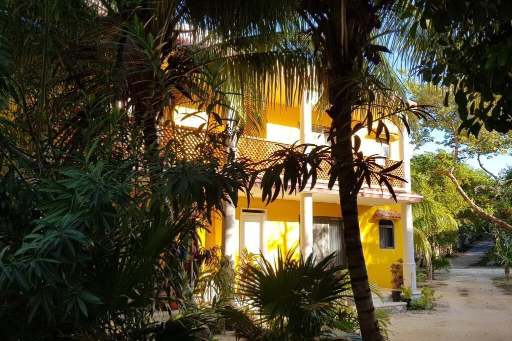 Marysol D10 Private Beach Next To Nomads Isla Mujeres Exterior foto